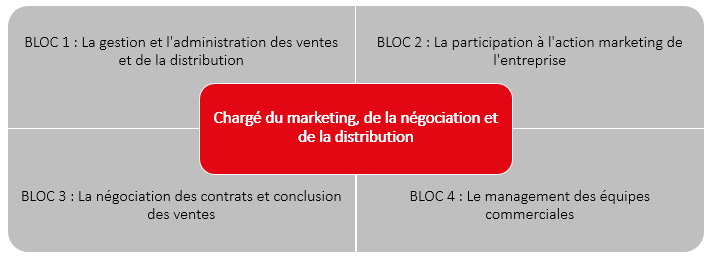 Chargé(e) du marketing, de la négociation et de la distribution