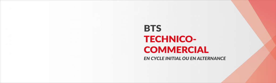 BTS Technico-Commercial BTS Technico-Commercial
