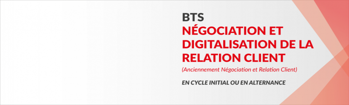 BTS Négociation et Digitalisation de la Relation Client (NDRC) BTS Négociation et Digitalisation de la Relation Client (NDRC)